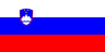 Slovenia flag